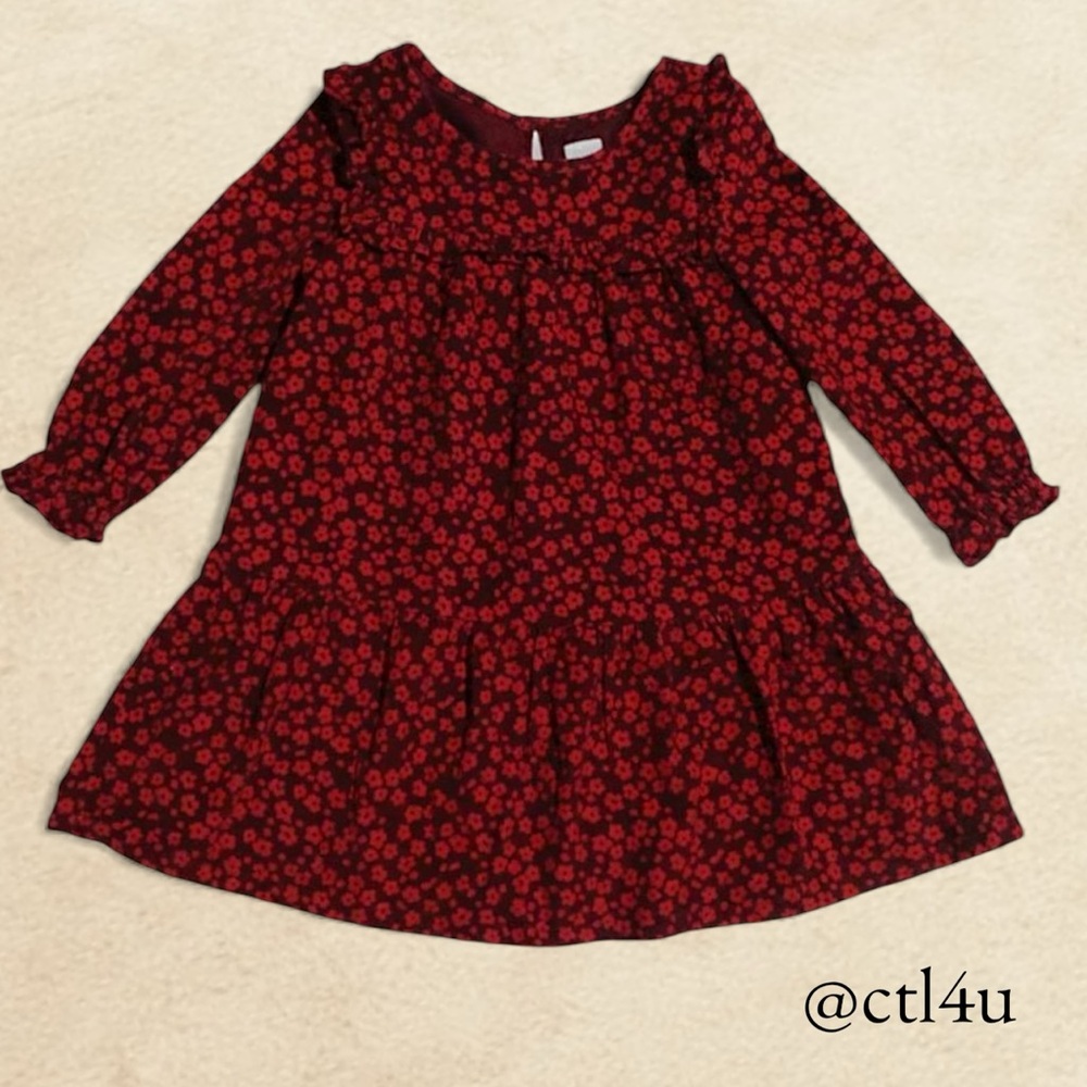 GAP babyGAP Ruffle Yoke Floral Print Corduroy Drop-Waist Dress Size 3 YRS